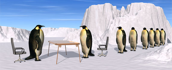A queue of penguins